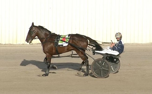 storm-rages-as-two-year-olds-open-vicbred-series-in-style
