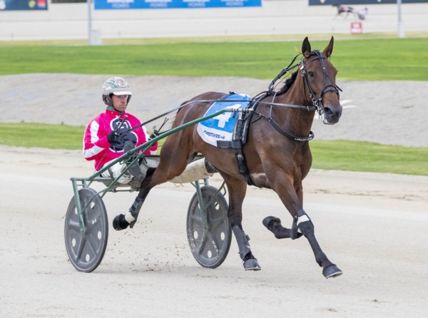 cranbourne-cheers-for-copacabana-in-vicbred-super-series