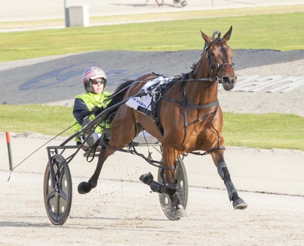 top-seeds-dominate-opening-of-vicbred-super-series-for-4yos