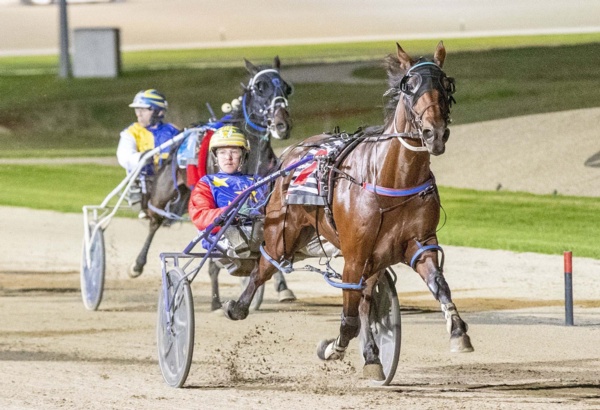 a-great-horse-to-us-boncel-benjamin-heads-off-into-retirement