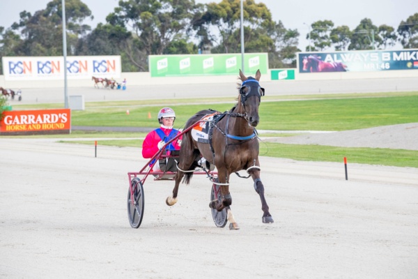tab-punter-has-one-big-crack-at-alchin-runner-in-vicbred-final