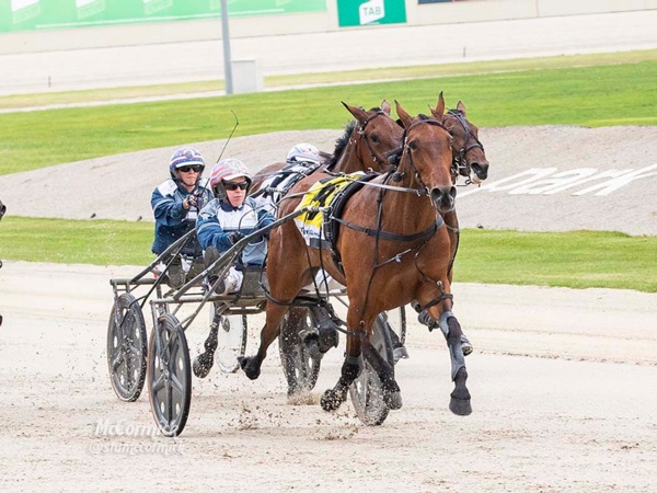 star-3yo-fillies-at-the-top-of-their-game-ahead-of-vicbred-showdown