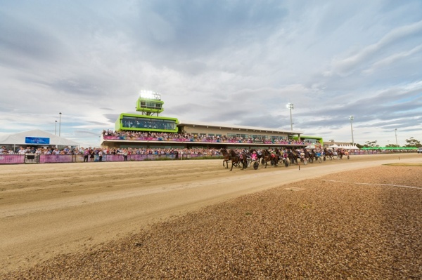 goodform-panel-melton-selections-for-tonight