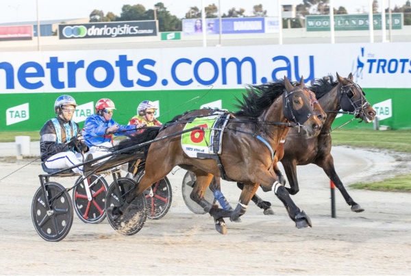 a-lunch-special-as-melton-win-brings-more-success-for-georgie