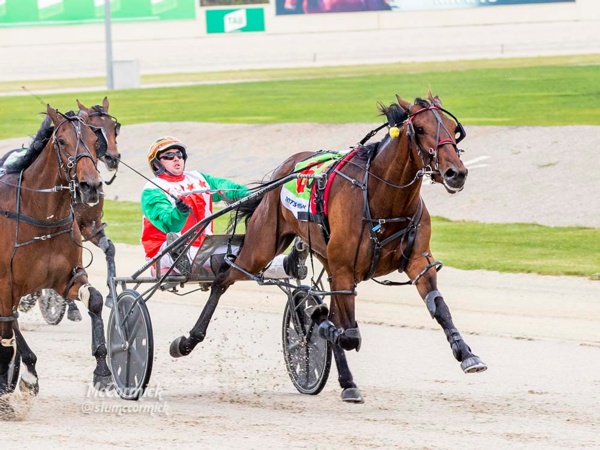 leroy-in-the-group-1-spotlight-as-blake-charges-into-2yo-final