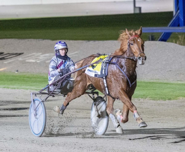 shep-cup-return-could-spark-significant-lover-affair