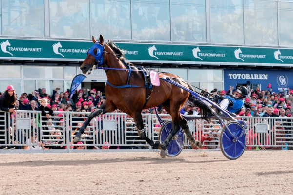 field-for-french-signature-race-takes-shape
