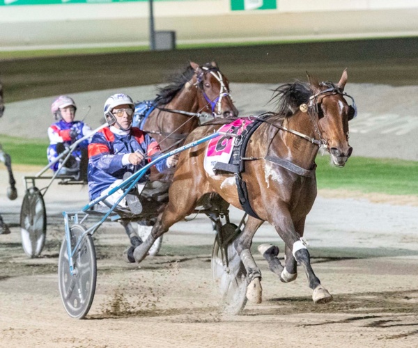 tab-punters-hopeful-antons-mare-can-get-the-job-done