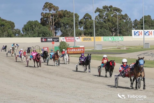 cohen-and-his-buddy-build-lead-as-metro-pony-trots-series-rolls-on