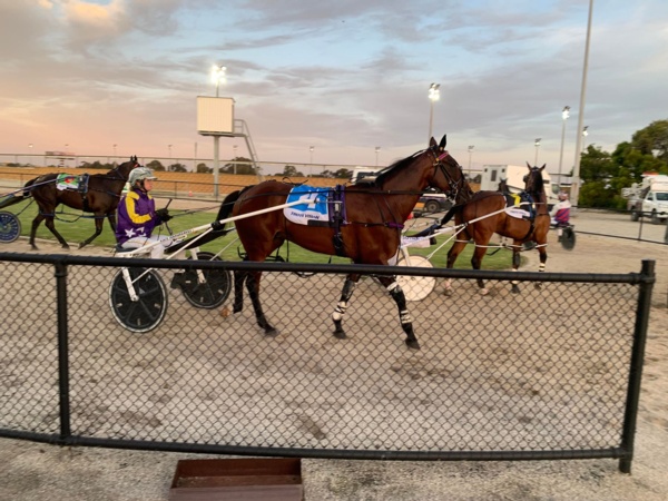 kate-hands-back-the-reins-for-mares-crack-at-metro-success