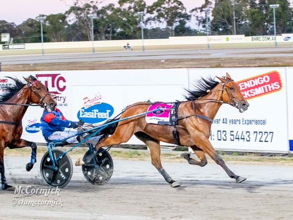 setbacks-aside-jets-ready-to-prove-herself-a-great-southern-star