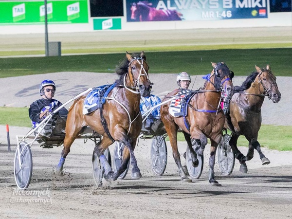 man-hes-good-kiwi-star-repeats-the-dose-in-dullard-cup