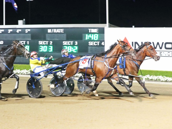 post-draw-the-vics-are-ready-to-shark-an-elusive-miracle-mile