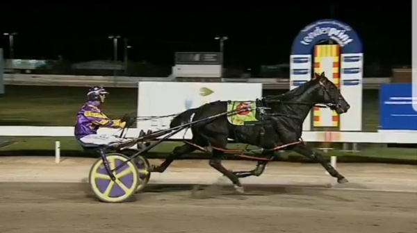 greg-hoping-for-some-aladdin-magic-at-wangaratta