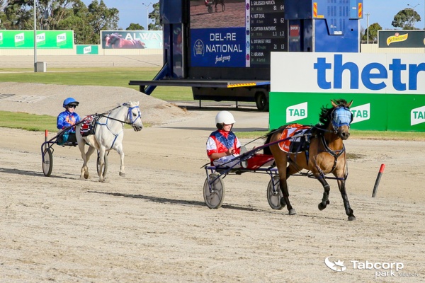 major-pony-trots-metro-win-at-fingertips-of-cohen-and-his-buddy