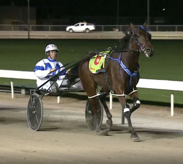 no-guarantees-but-marks-got-a-great-hand-in-the-boort-pacing-cup