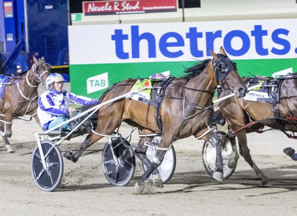 cheyella-expected-to-improve-again-in-inaugural-tiger-tara-ffa