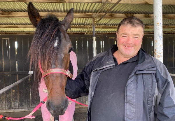 shippys-home-bred-mare-still-doing-the-stable-proud