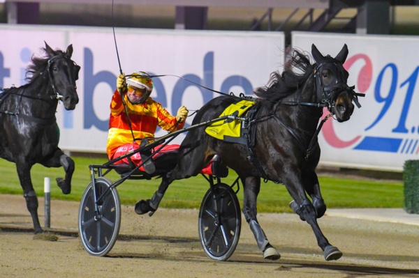a-great-invite-arrives-for-miles-outstanding-young-trotter