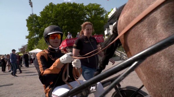 watch-dunn-ready-to-steal-elitloppet-show-against-aussie-hope