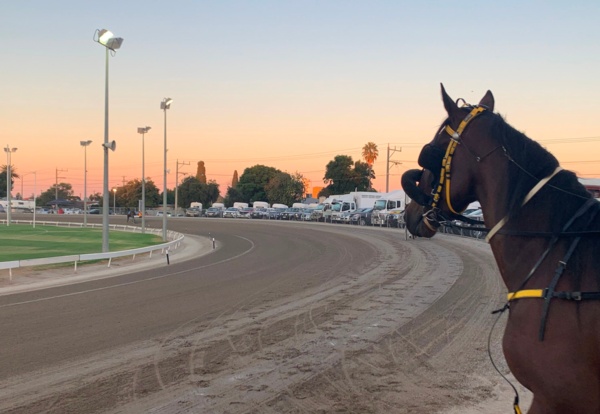 tab-punters-take-aim-with-big-bets-at-mildura