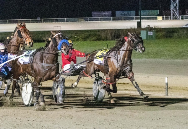 glen-survives-a-scare-as-bettor-isolate-stars-in-poppys-sprint