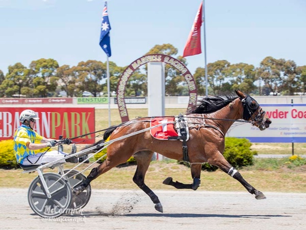tips-how-many-can-the-vics-win-darren-claytons-albion-park-attack