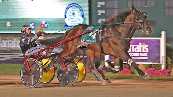 on-a-streak-to-be-a-surprise-starter-at-melton-trials