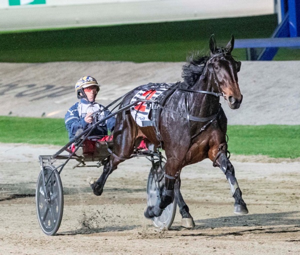 star-filly-building-towards-return-after-mystery-health-scare