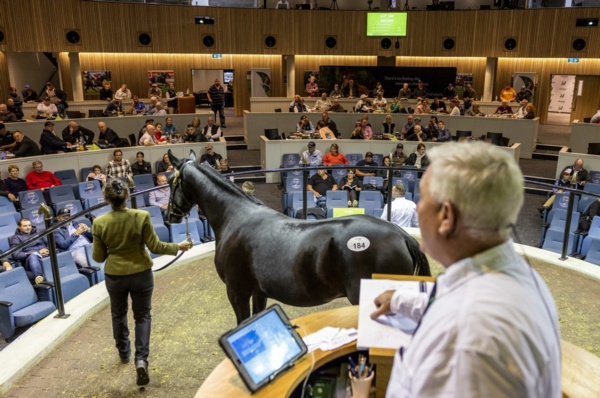 hrv-announces-new-1-25m-race-meeting-in-partnership-with-nutrien