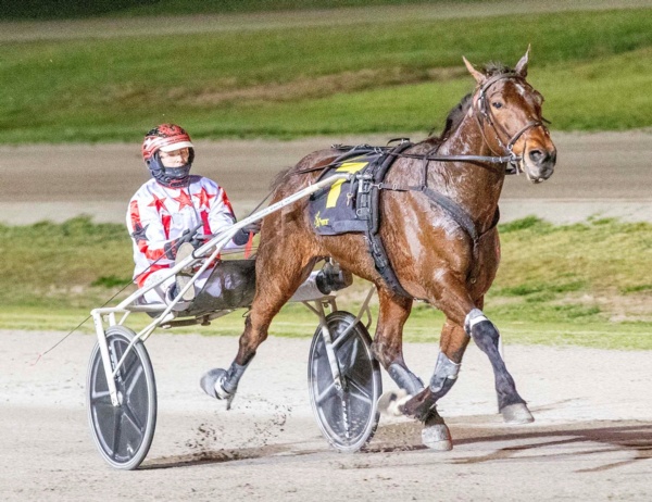 trots-centre-can-the-prince-show-plenty-of-front-in-shep-cup