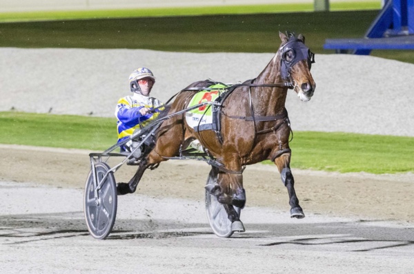 pitt-confident-dan-will-run-a-huge-race-in-sunshine-sprint
