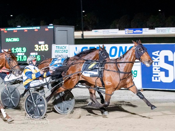 claytons-tips-a-night-for-fame-but-vics-loom-large-at-albion-park