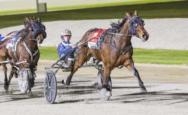 tab-punter-goes-loco-as-stewart-filly-cruises-to-victory