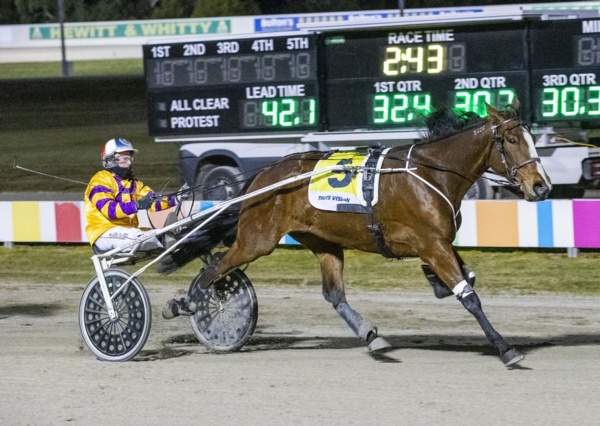 harry-hammers-rivals-to-win-second-straight-country-cup