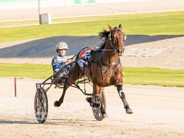 the-lost-storm-favourite-for-octobers-victoria-derby