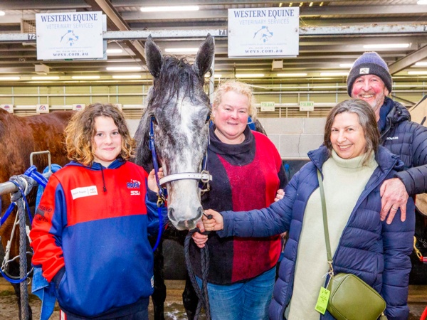 no-silver-medals-as-alexs-grey-mare-blitzes-in-1200m-debut
