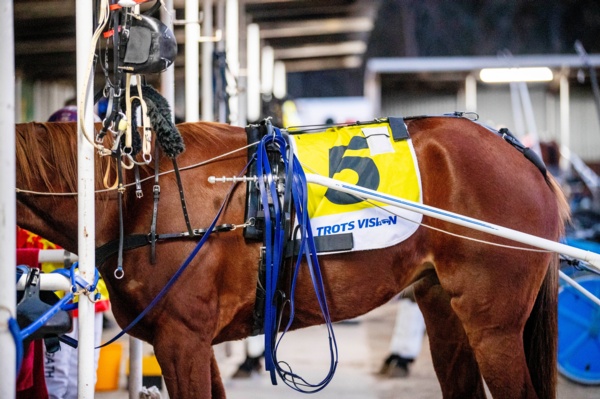 two-17000-collects-headline-last-weeks-tab-big-bets