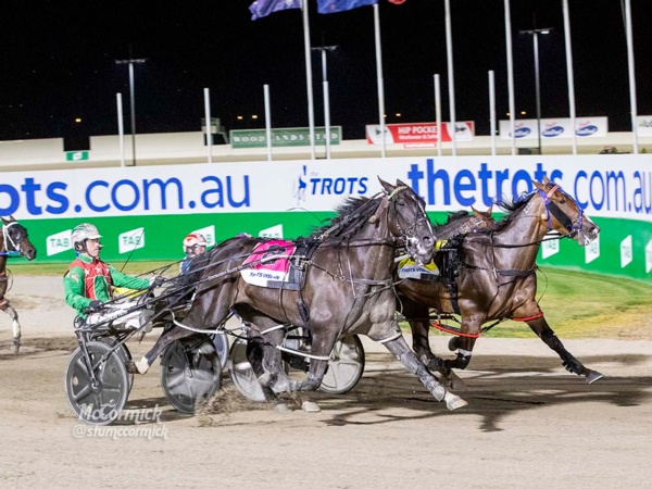 big-names-return-for-saturdays-our-maestro-ffa-at-melton