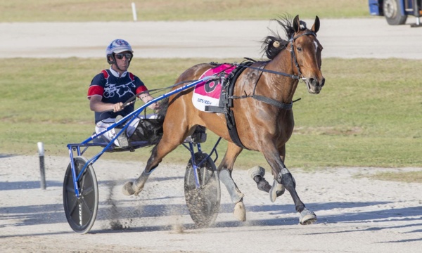 injury-brings-an-end-to-hopeful-beautys-racing-career