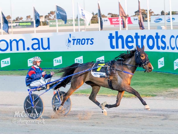 blog-the-stars-and-shining-moments-of-vicbred-super-series-finals