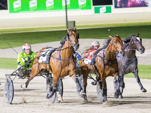 can-a-two-time-champion-become-a-vicbred-legend