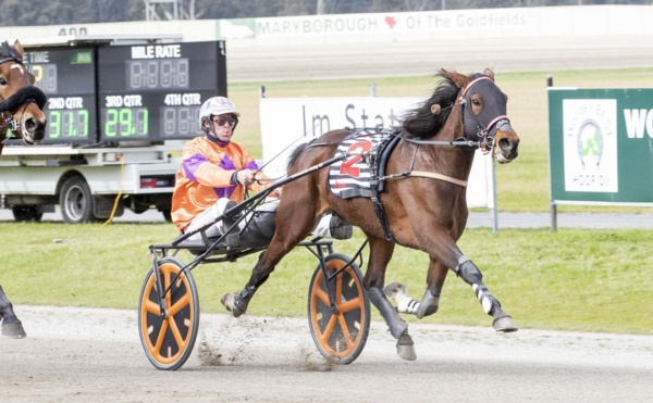 repeating-vicbred-history-on-the-wish-list-for-pangrazio