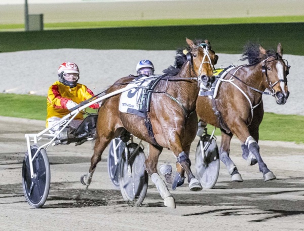 happy-travels-as-queen-sends-alford-to-big-apple-a-winner