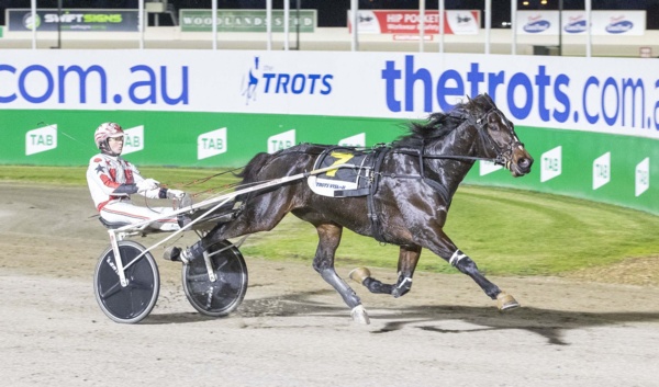 arcee-phoenix-gains-another-shot-at-nzs-tab-trot