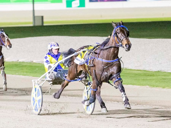 vss-4yos-dunn-eyeing-off-another-vicbred-triumph