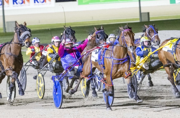 boy-oh-boy-scottys-star-stakes-his-victoria-cup-claim