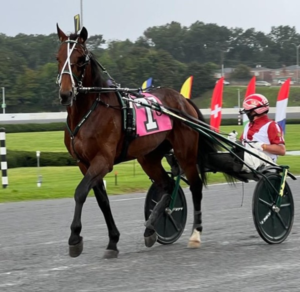 were-fifth-in-the-world-zeus-does-australia-proud-at-yonkers