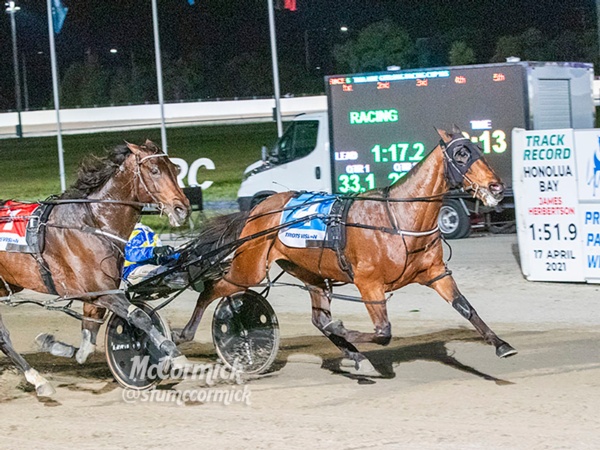 how-sweet-it-is-sugars-guides-dan-to-another-geelong-cup