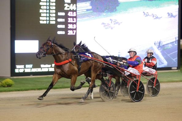 important-assignment-awaits-kiwi-raider-at-maryborough